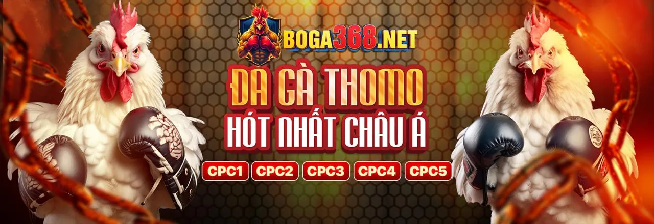 Cá cược Esports 1000win nhà cái